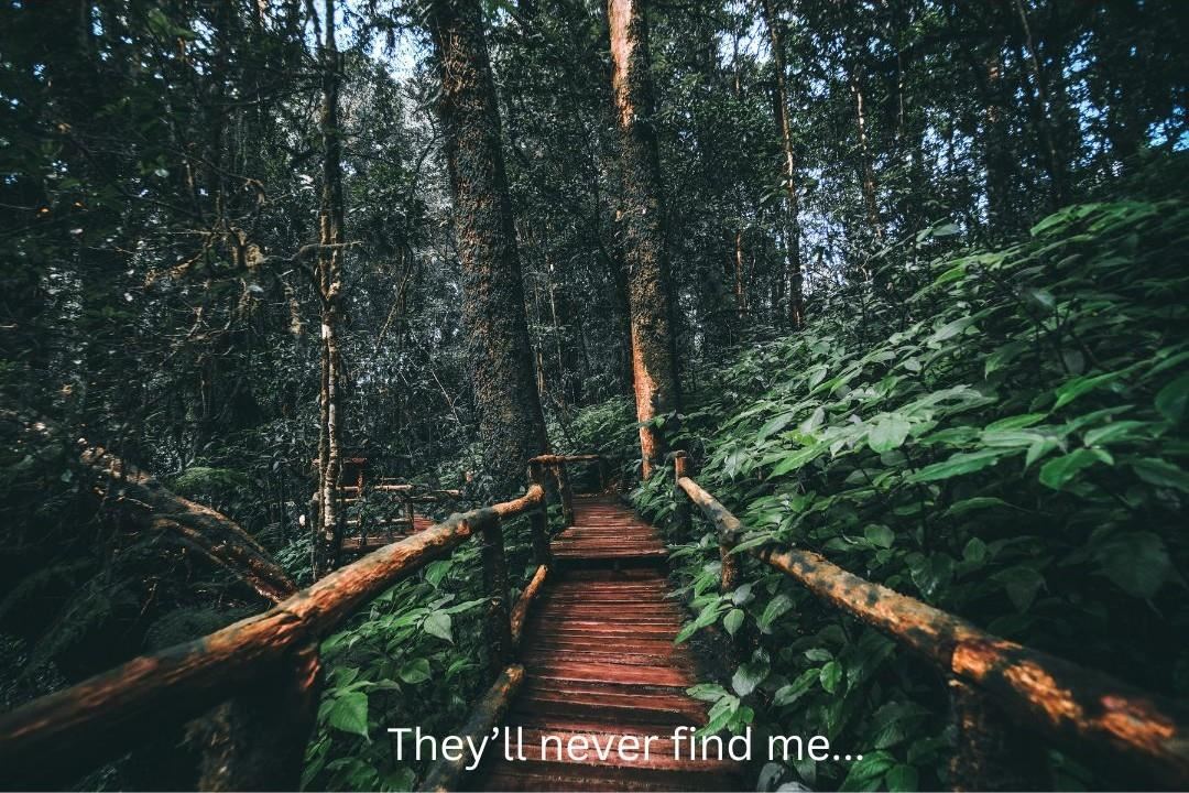 Haunted forest scene